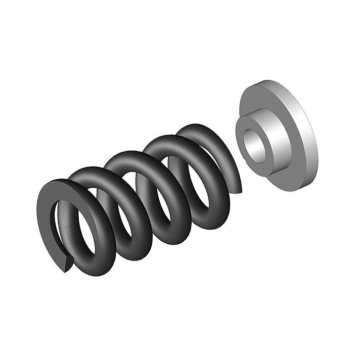 Corally Slipper Clutch Spring 1 Pc + Washer