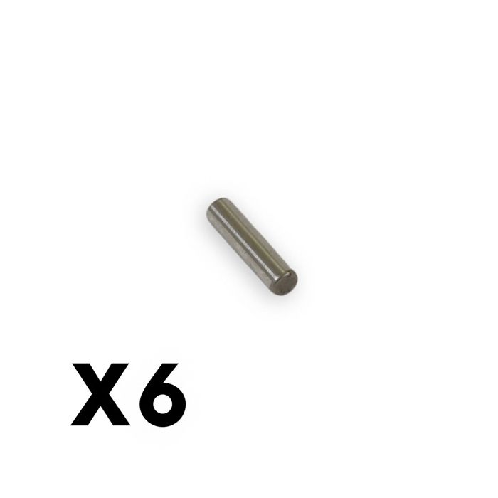 FTX Kanyon/Mighty Pin (6pcs) 8 X 2