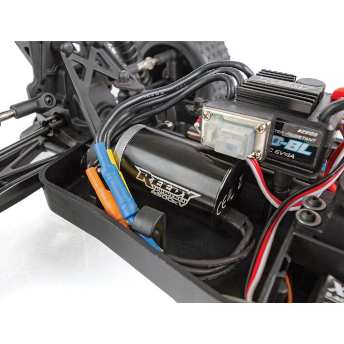 Team Associated 1:14 Reflex 14B Ongaro Brushless RC RTR Buggy