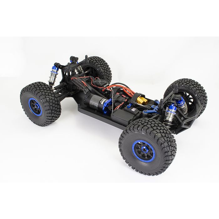 FTX 1:8 DR8 Desert Racer Brushless RC Buggy ARTR 60+mph! (no Batt/Cgr) - Blue