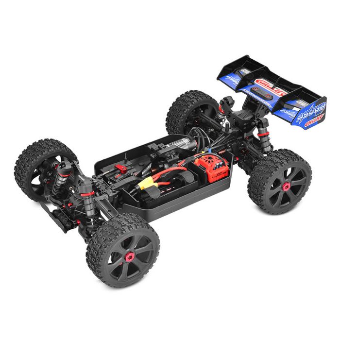 Corally Asuga XLR 6S ARTR (no Batt) Brushless XXL 1/8 RC Monster Buggy