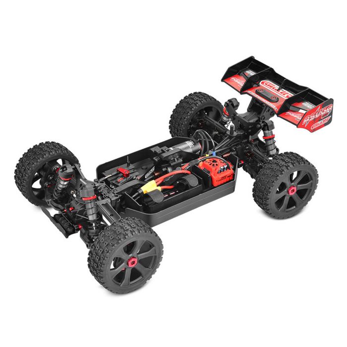 Corally Asuga XLR 6S ARTR (no Batt) Brushless XXL 1/8 RC Monster Buggy