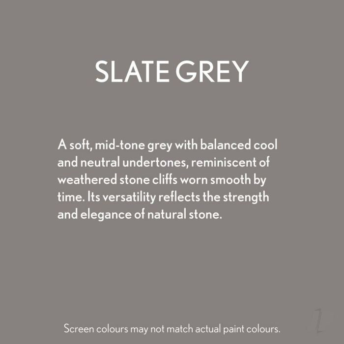 Bleo Gel Paint - Slate Grey (100ml) - Waterproof Outdoor Wood Fabric Stain & MORE!
