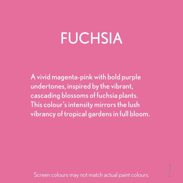Bleo Gel Paint - Fuschia (100ml) - Waterproof Outdoor Wood Fabric Stain & MORE!
