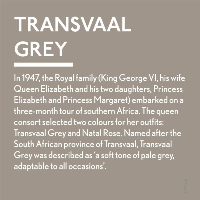 Guild Lane Jubilee All Purpose Acrylic Paint - Transvaal Grey (250ml)