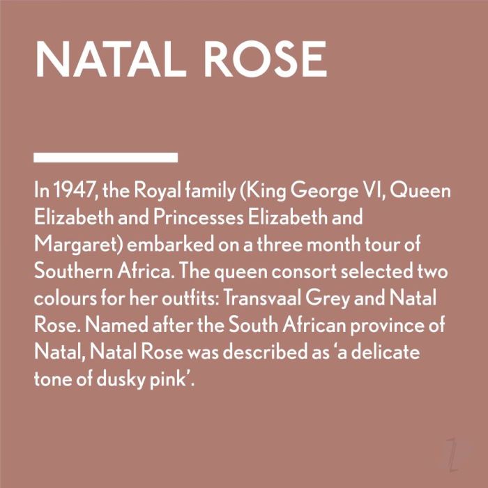 Guild Lane Jubilee All Purpose Acrylic Paint - Natal Rose (250ml)