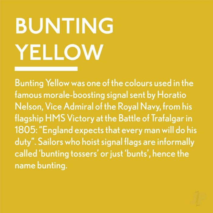 Guild Lane Jubilee All Purpose Acrylic Paint - Bunting Yellow (250ml)