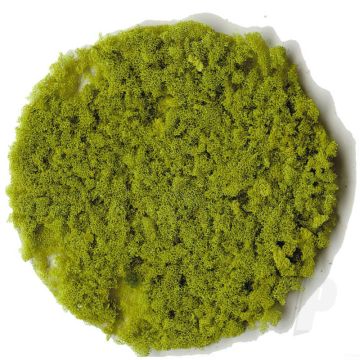 Heki 3388 Light Green Foam Granules Large For Scenic Diorama Model Trains