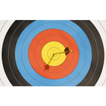 Official World Archery FITA 40cm Laminated Target Faces - Roll of 10 Sheets