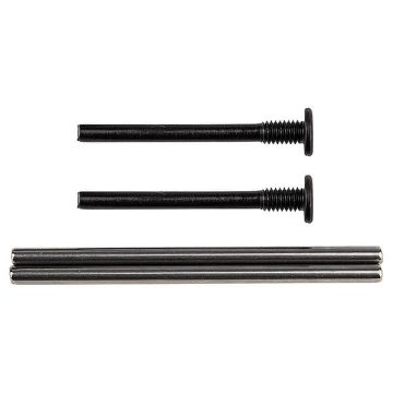 Team Associated Apex 2 Hinge Pins