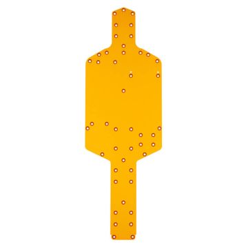 Team Associated 6x6 Chassis, Gold