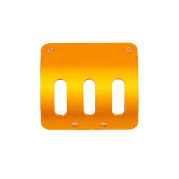 Team Associated RC10 Motor Guard, Gold