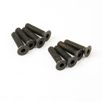 FTX Flat Head 2.5x10mm Screws