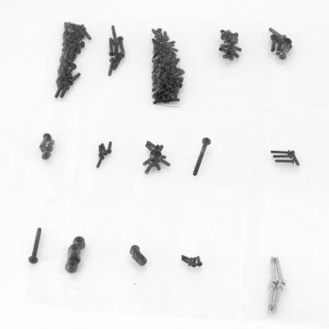 FTX Outback Mini XP Evo Van Screw Set