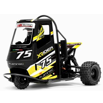 X-Rider Flamingo 1/8 RC Vespa Piaggio Ape Racing Tricycle Scooter RTR - Black