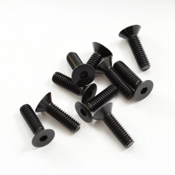 HoBao OFNA M4x14mm Hex Socket Countersunk Screws