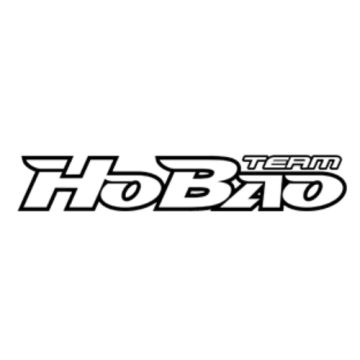 Hobao Hyper 8SCE Front/Rear Shock Absorber Set