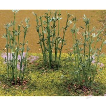JTT 95600 Bamboo, HO-Scale & O-Scale, (12 pack) For Scenic Diorama Model Trains