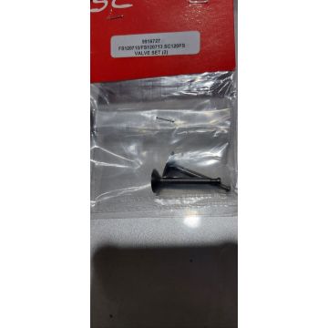 SC FS120710/FS120713 SC120FS Valves (2 pcs) 